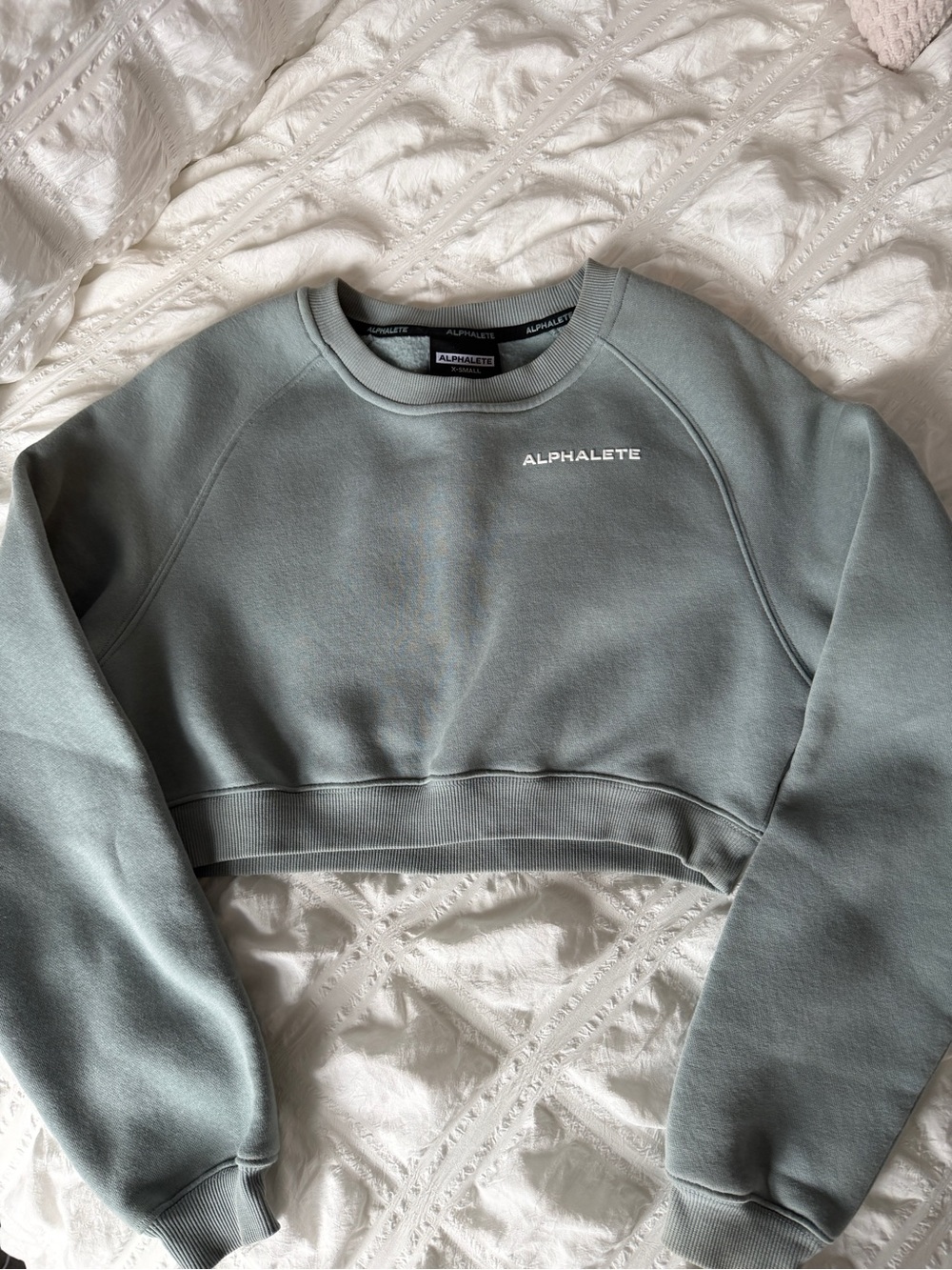 Alphalete  cropped sweatshirt
